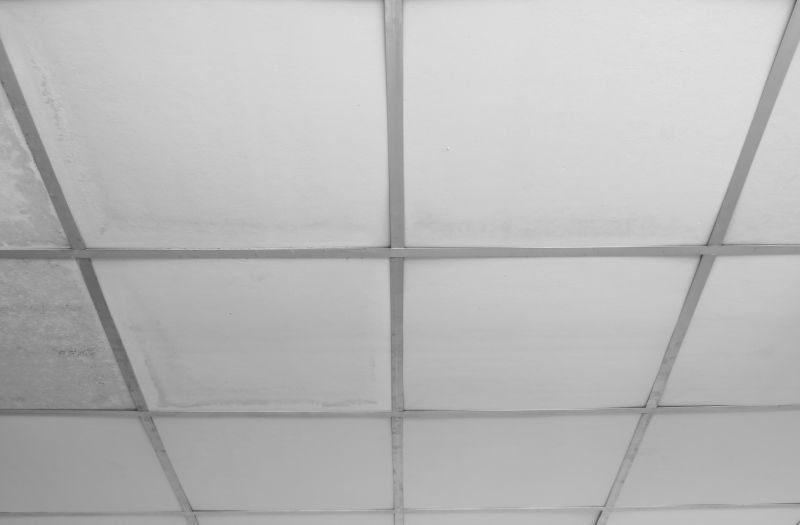 Drop Ceiling Repair in Saint Augustine, FL