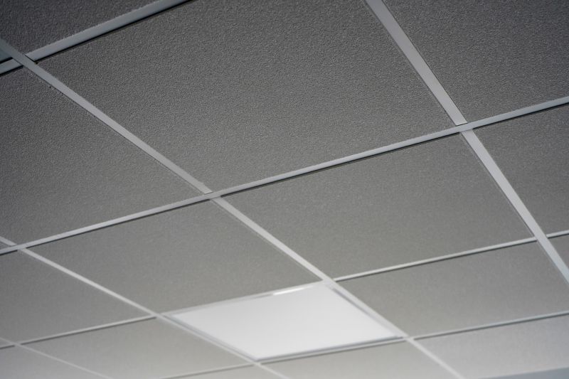 Tile Ceiling Installation in Longmont, CO